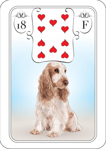 Der Hund
