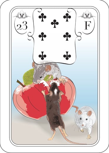 Die Ratte