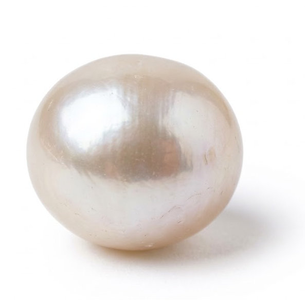 Perle